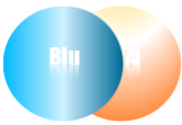 Blu-AI Inc.